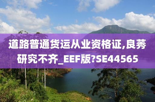 道路普通货运从业资格证,良莠研究不齐_EEF版?SE44565