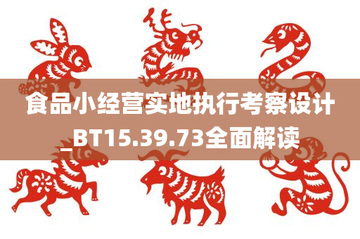 食品小经营实地执行考察设计_BT15.39.73全面解读