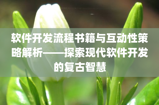 软件开发流程书籍与互动性策略解析——探索现代软件开发的复古智慧