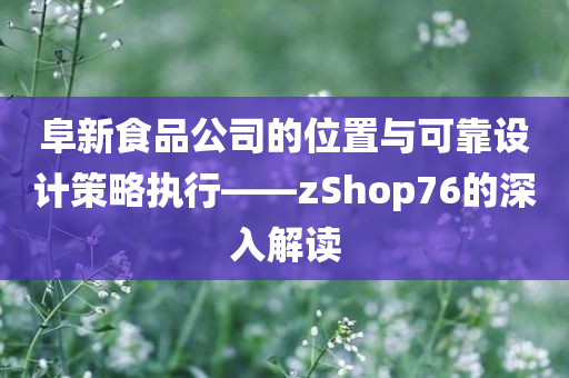 阜新食品公司的位置与可靠设计策略执行——zShop76的深入解读