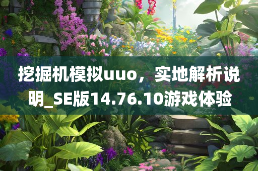 挖掘机模拟uuo，实地解析说明_SE版14.76.10游戏体验