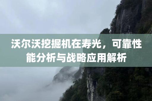 沃尔沃挖掘机在寿光，可靠性能分析与战略应用解析