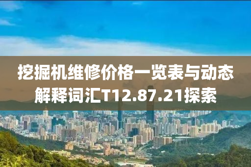 挖掘机维修价格一览表与动态解释词汇T12.87.21探索