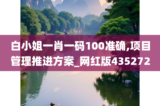 白小姐一肖一码100准确,项目管理推进方案_网红版435272