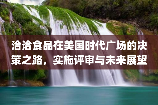 洽洽食品在美国时代广场的决策之路，实施评审与未来展望