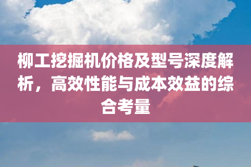 柳工挖掘机价格及型号深度解析，高效性能与成本效益的综合考量