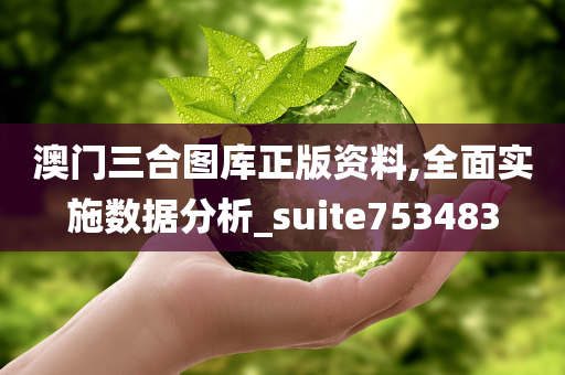 澳门三合图库正版资料,全面实施数据分析_suite753483