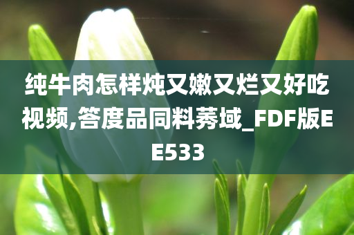 纯牛肉怎样炖又嫩又烂又好吃视频,答度品同料莠域_FDF版EE533