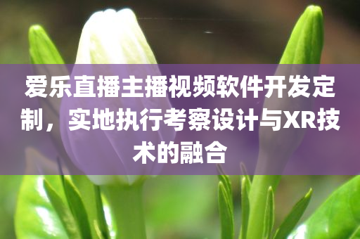 爱乐直播主播视频软件开发定制，实地执行考察设计与XR技术的融合