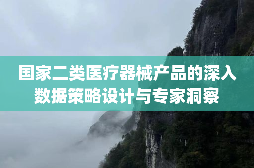 国家二类医疗器械产品的深入数据策略设计与专家洞察