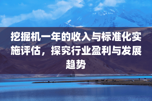 挖掘机一年的收入与标准化实施评估，探究行业盈利与发展趋势