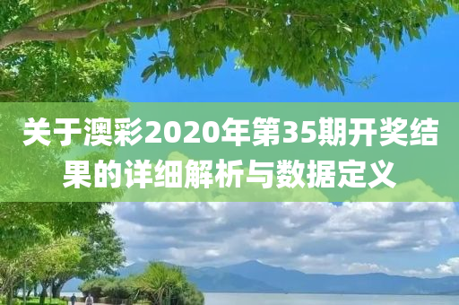 关于澳彩2020年第35期开奖结果的详细解析与数据定义